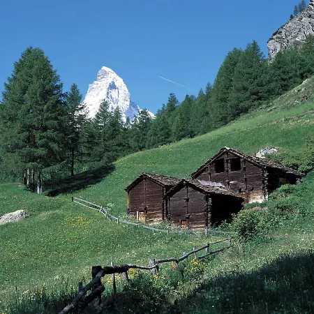 Papillon By Interhome Zermatt